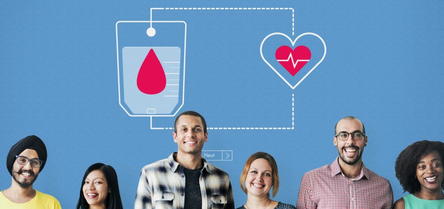 The Bronx Daily | Bronx.com