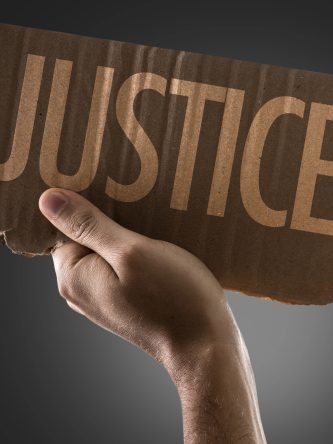 The Bronx Daily | Bronx.com