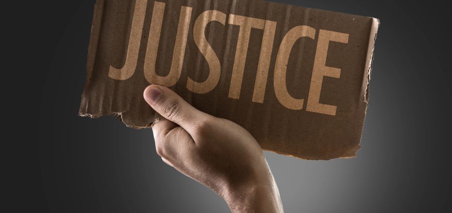 The Bronx Daily | Bronx.com