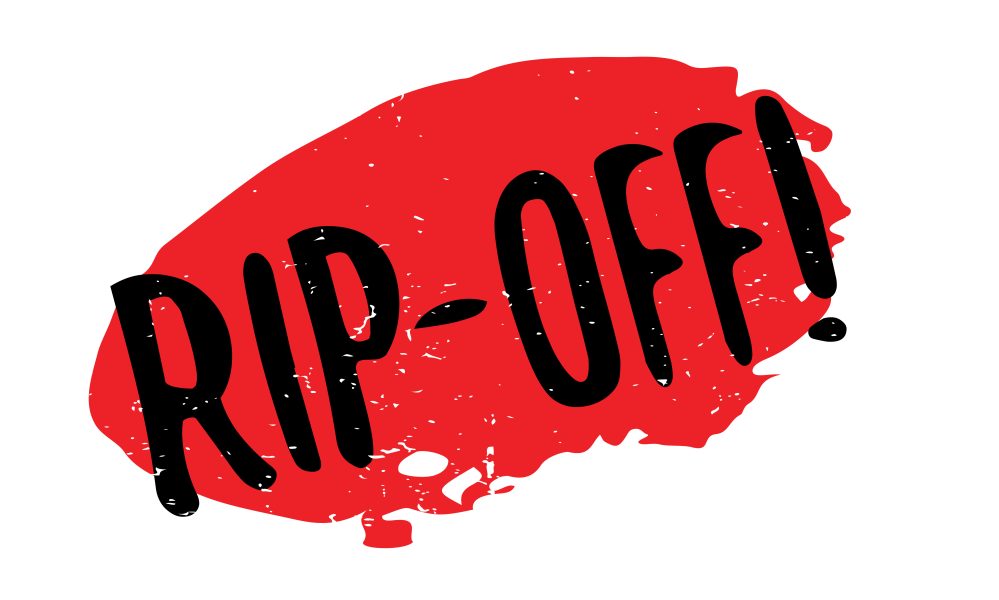 Home The Bronx Daily | Bronx.com