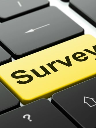 The Bronx Daily | Bronx.com