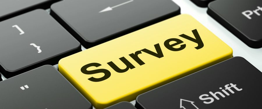New York City Public Schools Launches 20<sup>th</sup> Annual School Survey