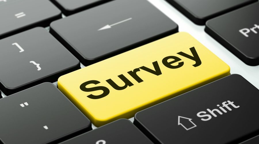 The Bronx Daily | Bronx.com