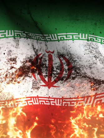 Home The Bronx Daily | Bronx.com