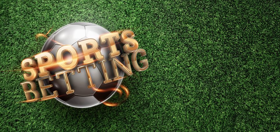 The Bronx Daily | Bronx.com