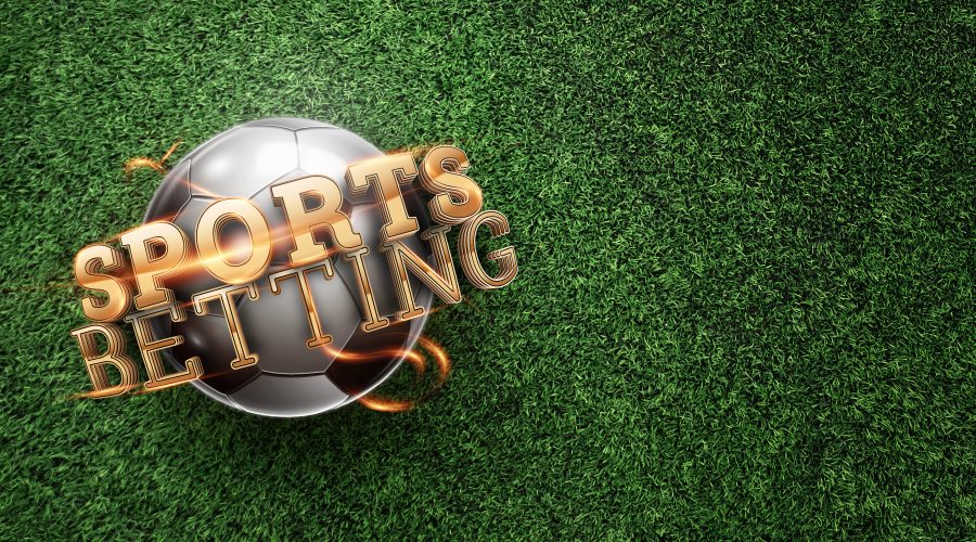 The Bronx Daily | Bronx.com