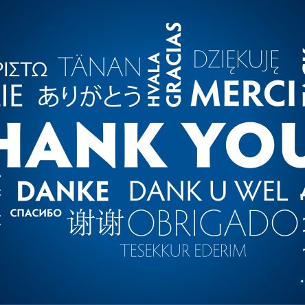 The Bronx Daily | Bronx.com