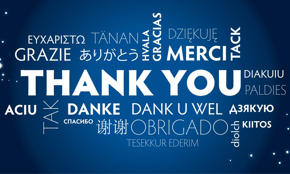 The Bronx Daily | Bronx.com