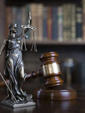 Home The Bronx Daily | Bronx.com