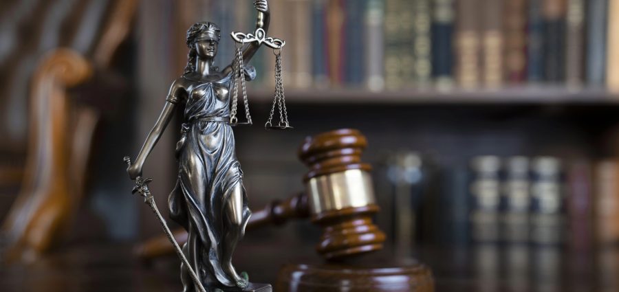 The Bronx Daily | Bronx.com