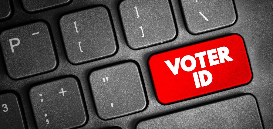 The Bronx Daily | Bronx.com