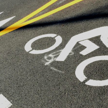 Home The Bronx Daily | Bronx.com