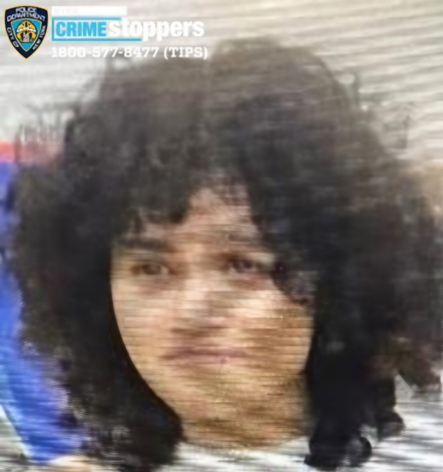 Jaylene Santos, 17, Missing