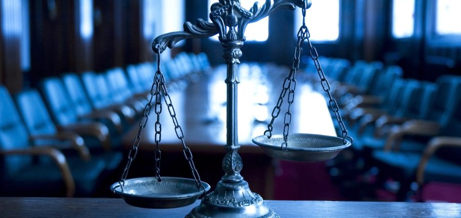 The Bronx Daily | Bronx.com