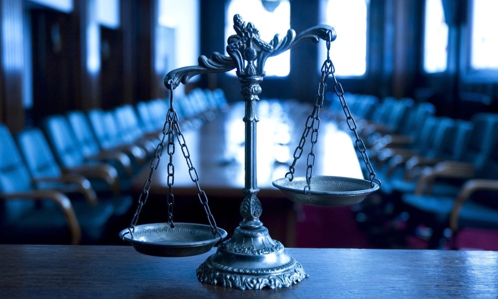 Home The Bronx Daily | Bronx.com