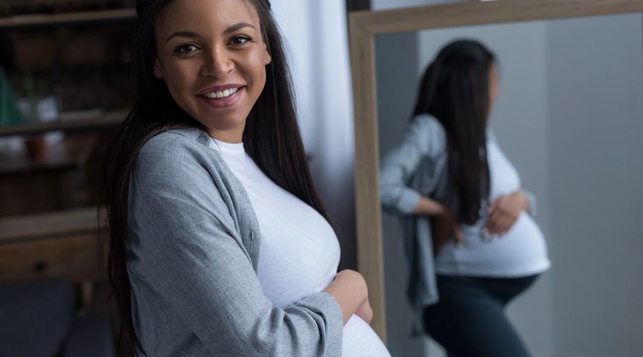 Home The Bronx Daily | Bronx.com