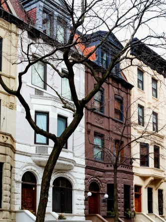 Home The Bronx Daily | Bronx.com