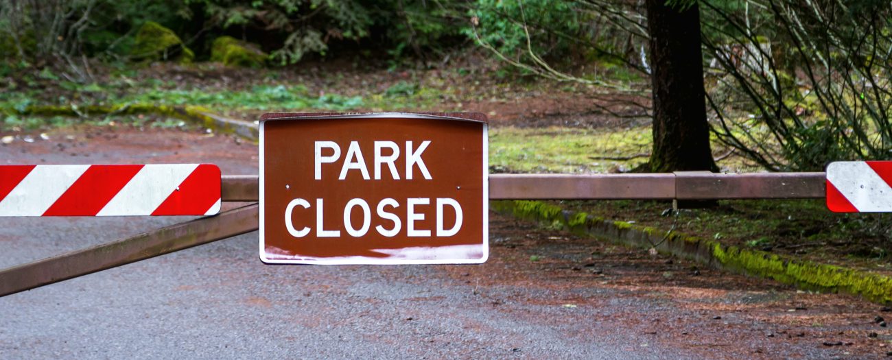 The Bronx Daily | Bronx.com