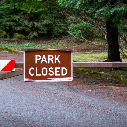 The Bronx Daily | Bronx.com