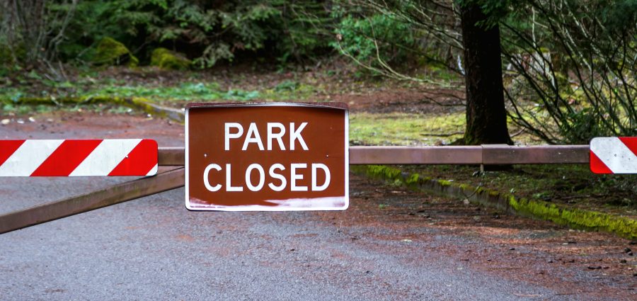 The Bronx Daily | Bronx.com