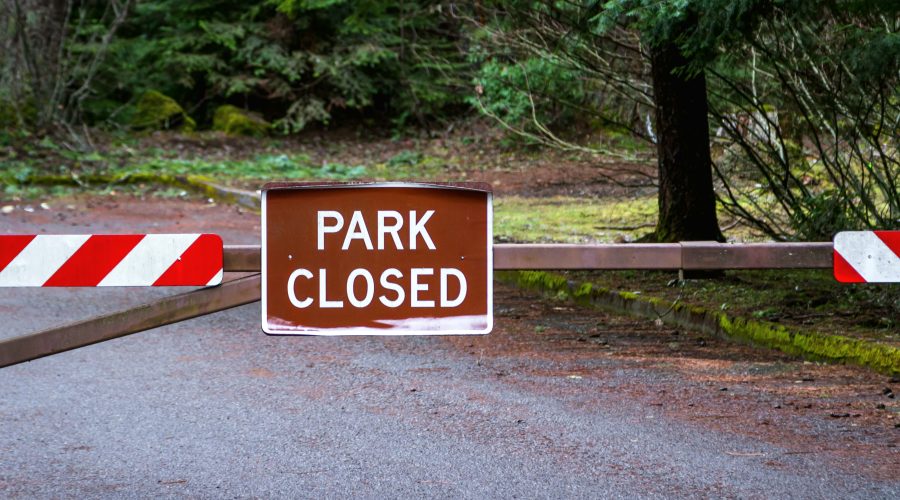 Home The Bronx Daily | Bronx.com