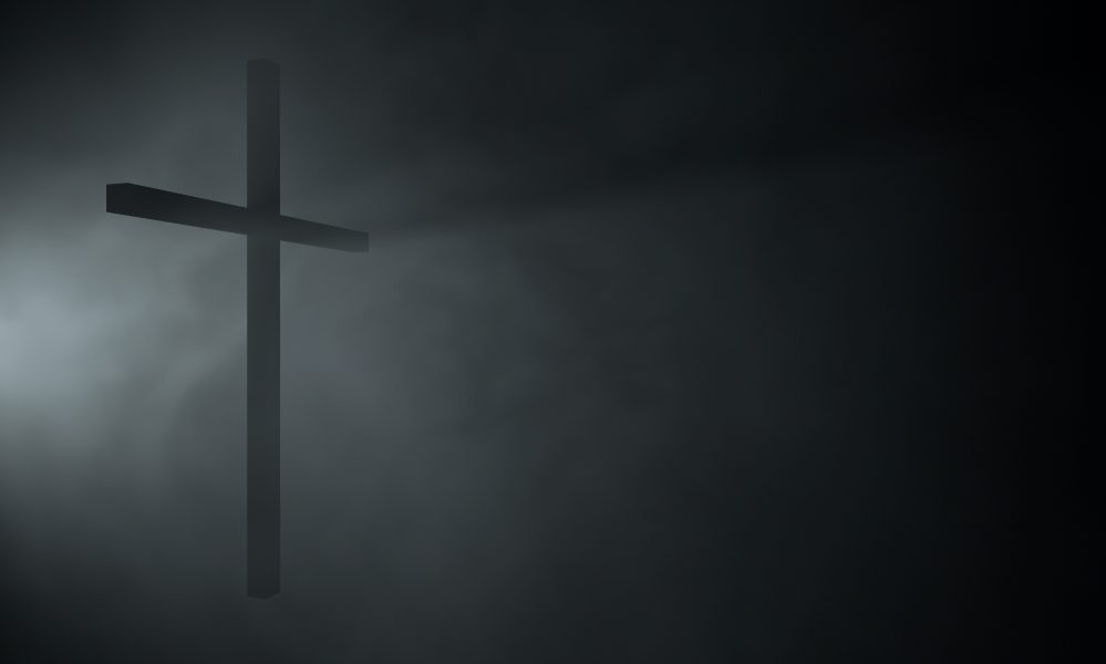 Home The Bronx Daily | Bronx.com