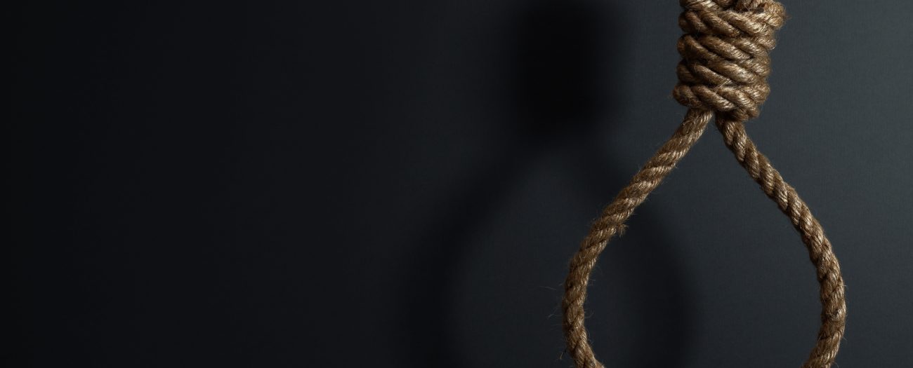 Home The Bronx Daily | Bronx.com