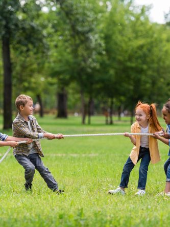 The Bronx Daily | Bronx.com