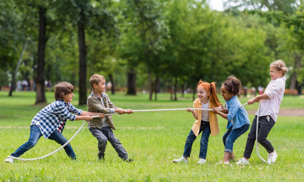 The Bronx Daily | Bronx.com