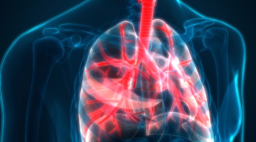 The Bronx Daily | Bronx.com