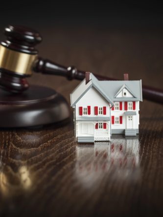 The Bronx Daily | Bronx.com