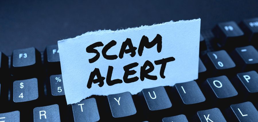 The Bronx Daily | Bronx.com