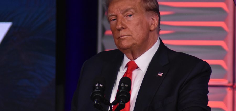 The Bronx Daily | Bronx.com