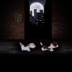 The Bronx Daily | Bronx.com