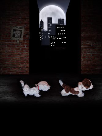 The Bronx Daily | Bronx.com