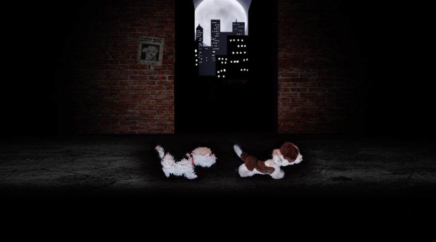 The Bronx Daily | Bronx.com