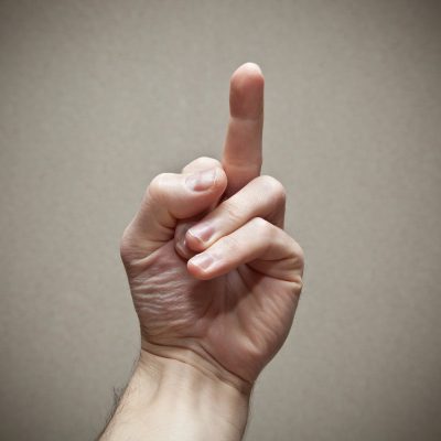 Artist Scott LoBaido Erects Giant Middle Finger Statue At NYC City Hall