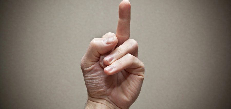 The Bronx Daily | Bronx.com
