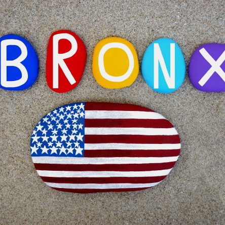 The Bronx Daily | Bronx.com