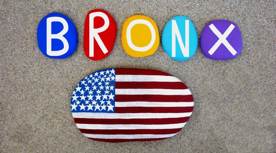 The Bronx Daily | Bronx.com