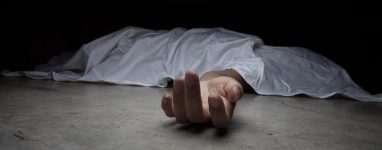 The Bronx Daily | Bronx.com