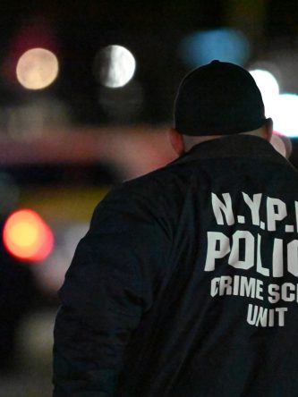 The Bronx Daily | Bronx.com