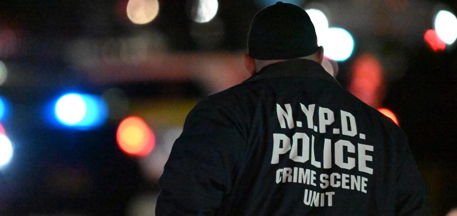 The Bronx Daily | Bronx.com