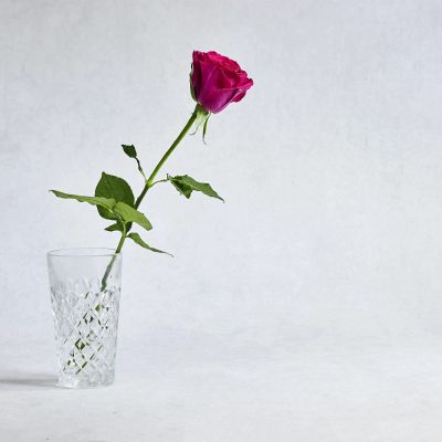 NY State Attorney General James Secures $375,000 From 1-800-Flowers.com For Deceiving Consumers