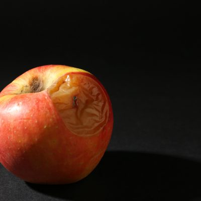 Operation Rotten Apple: 2,197 Criminal Illegal Aliens Arrested In New York City