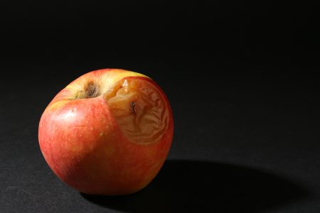 Operation Rotten Apple: 2,197 Criminal Illegal Aliens Arrested In New York City