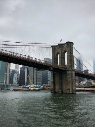 The Bronx Daily | Bronx.com
