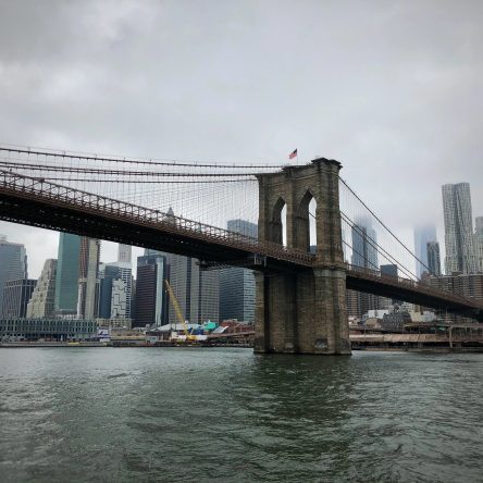 The Bronx Daily | Bronx.com